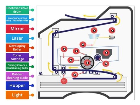 Laser Printer Components - Labelled diagram