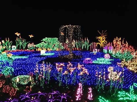 Garden d'lights at Bellevue botanical garden. One word, beautiful. Created with 1/2 million LE ...