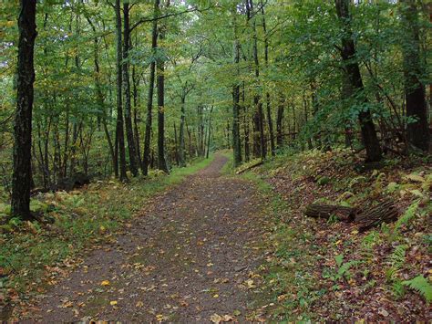 Meanderthals | Cedar Run and Whiteoak Canyon Trails, Shenandoah ...