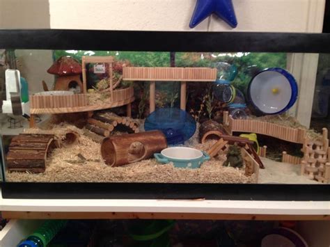 46 best Hamster cage setup images on Pinterest | Gerbil, Hamster stuff and Pets