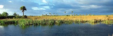 Marsh | wetland | Britannica.com