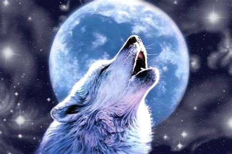 Wolf Howling at the Moon Cross Stitch Pattern - Etsy