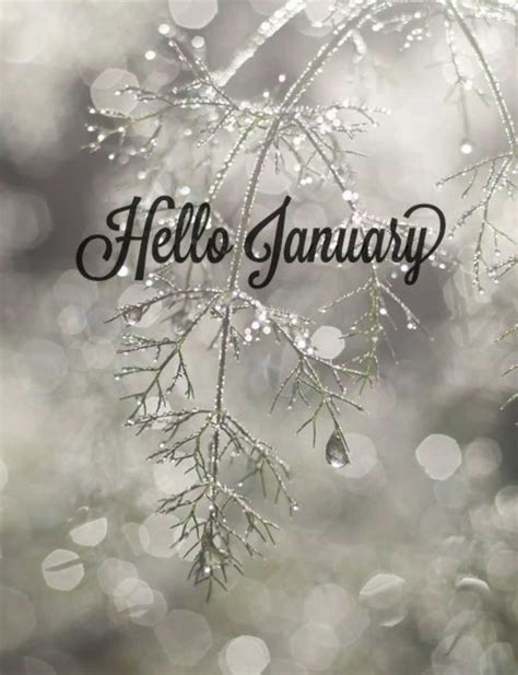 Hello January Wallpaper - KoLPaPer - Awesome Free HD Wallpapers