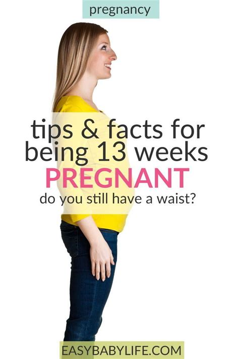 Pin on First Trimester Pregnancy