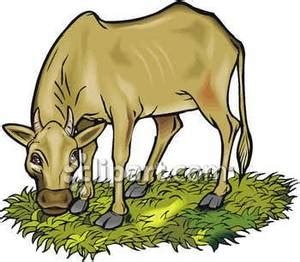 Grazing animals clipart - Clipground