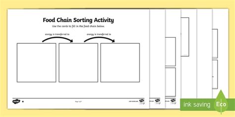 Food Chain Sorting Activity (teacher made) - Twinkl