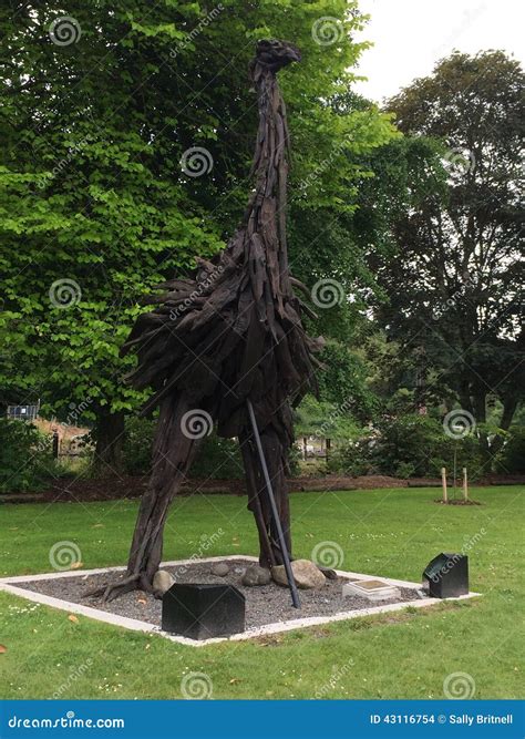 Moa stock photo. Image of zealand, sculpture, statue - 43116754