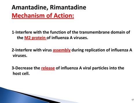 Amantadine And Rimantadine Mechanism Of Action - malaynesra