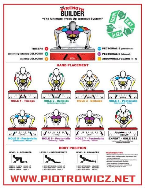 The Ultimate Press-Up Workout - Healthy Fitness Workouts Chest A - PROJECT NEXT - Bodybuilding ...