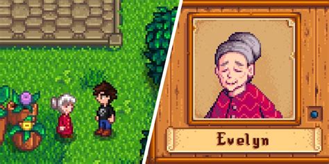 Stardew Valley: Evelyn Gifts Guide (Likes, Love & Dislikes)