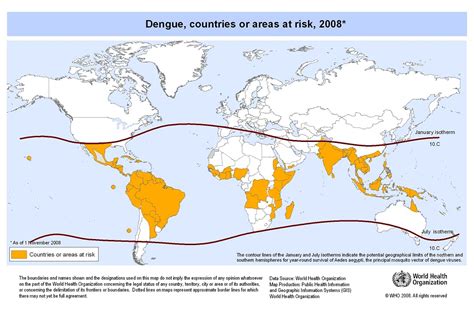 Dengue Vector at Vectorified.com | Collection of Dengue Vector free for ...