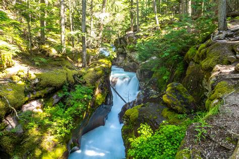 A Guide to Hiking the Avalanche Lake Trail - Ace Adventurer