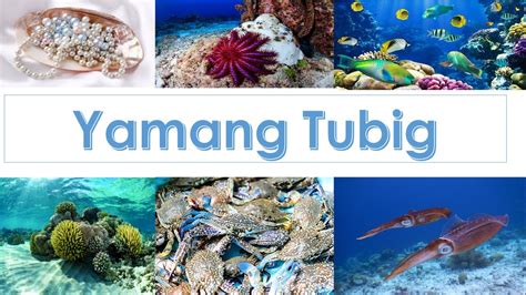 Mga Yamang Tubig - YouTube