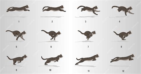 Premium Vector | Cat Run cycle animation sequence