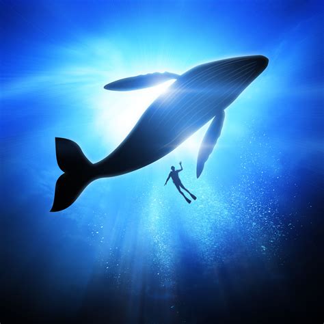 10 of the World's Most Famous Whales