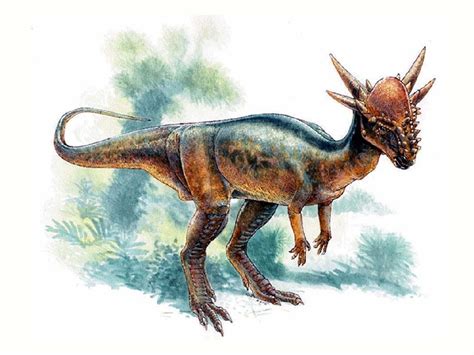 Stygimoloch Pictures & Facts - The Dinosaur Database