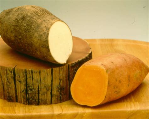 What Is The Difference Between A Sweet Potato And A Yam? | North ...