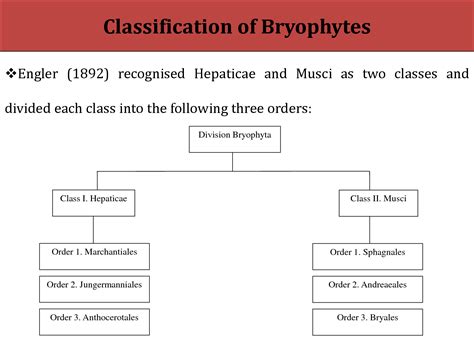 SOLUTION: Classification of bryophytes - Studypool