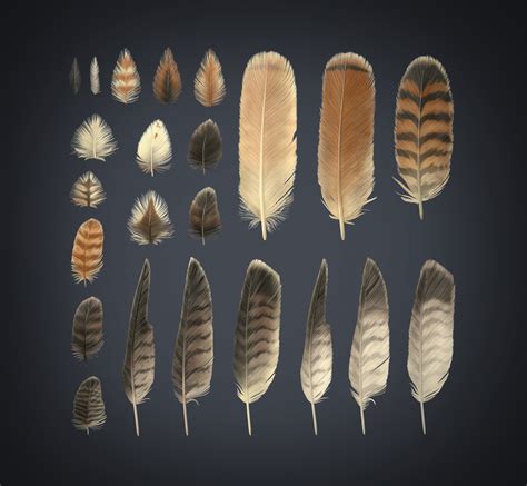 ArtStation - Red-Tailed Hawk Feathers Texture Pack | Resources