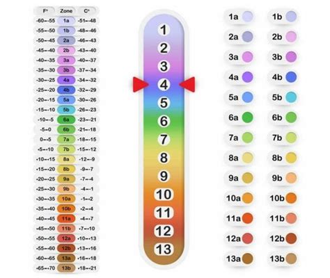 Why Are Maryland Planting Zones Important? - OakLawn Landscaping