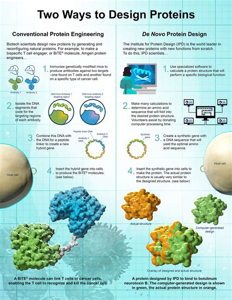 Designing Proteins From Scratch | Amgen