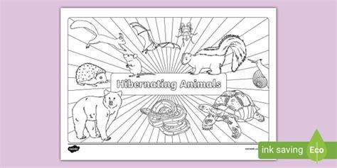 Hibernating Animals Colouring Page (teacher made) - Twinkl