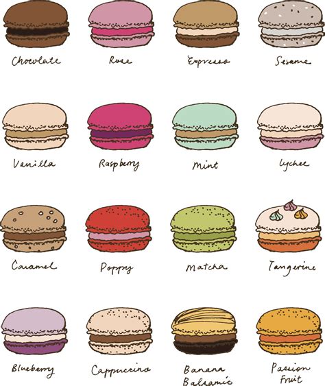 macaron – Georgetown Row House | Food drawing, Macarons, Food sketch