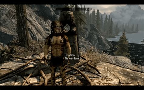 18 ultimate skyrim custom race mods of all time - TBM | TheBestMods