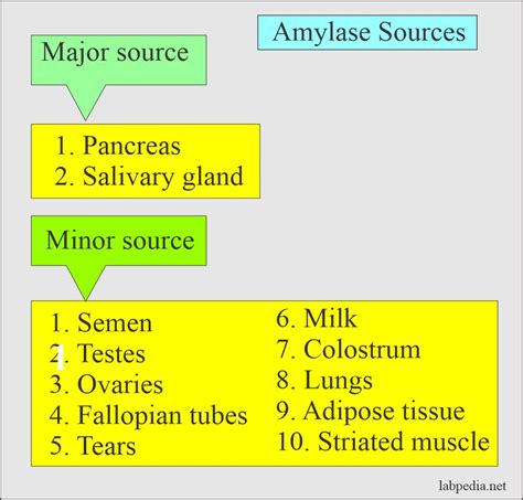 Amylase Serum and Acute Pancreatitis Diagnosis - Labpedia.net