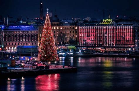 Christmas tree deluxe in Stockholm Sweeden | Tree lighting, Christmas worldwide, Stockholm old town