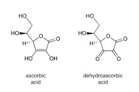 biochemistry - Why plants (eg. parsley) can keep vitamin C despite all ...