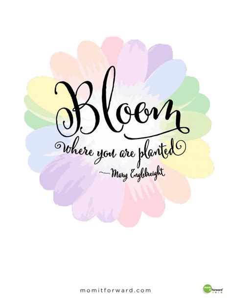 Quote: Bloom Where You Are Planted - Mom it Forward