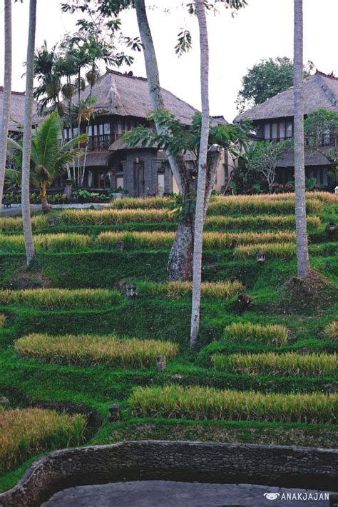 KAMANDALU UBUD RESORT, Bali | ANAKJAJAN.COM