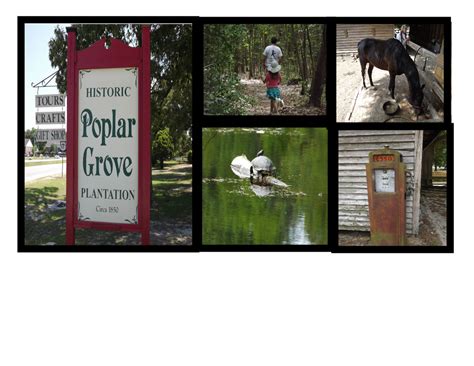 Poplar Grove Plantation Math Trail - Author