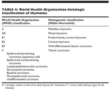 Esophageal Cancer Prognosis Stage 4