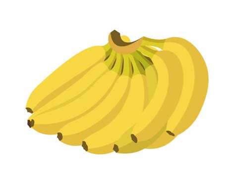 Banana Bunch Illustrations, Royalty-Free Vector Graphics & Clip Art ...