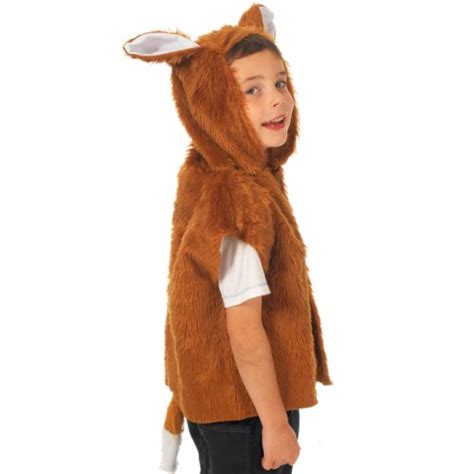 Swiper the Fox Halloween Costume - isleofhalloween.com