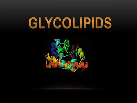 PPT - GLYCOLIPIDS PowerPoint Presentation, free download - ID:9681380