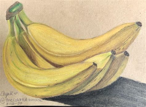 Realistic banana drawing in prismacolors : r/Coloring