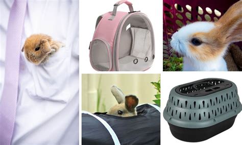 5 Must-Have Rabbit Carriers for the Perfect Pet Adventure