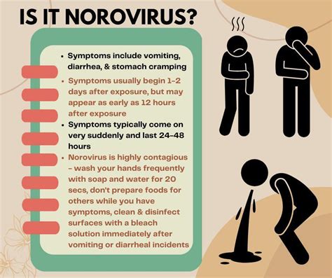 How Do You Catch Norovirus: Tips For Staying Safe