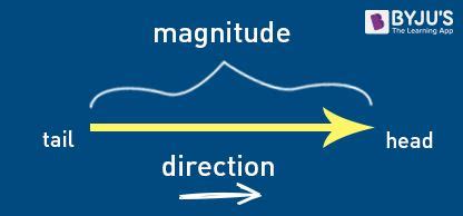 Vectors in Maths | Introduction to Vectors | Euclidean Vector Examples