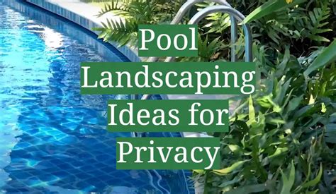 Pool Landscaping Ideas for Privacy - GardenProfy