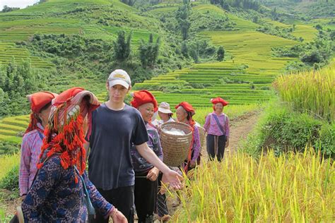 Sapa Trekking: Amazing Route Worth Exploring in Sapa Day trips - Hanoi ...