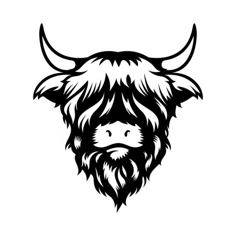 Highland cow head design on white background. Farm Animal. Cows logos or icons. vector ...