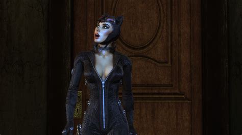 Catwoman - Arkham City 10 by solarnova1101 on DeviantArt