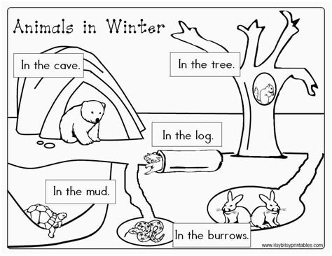 Hibernation Worksheets For Preschoolers - Worksheet Educational Ideas