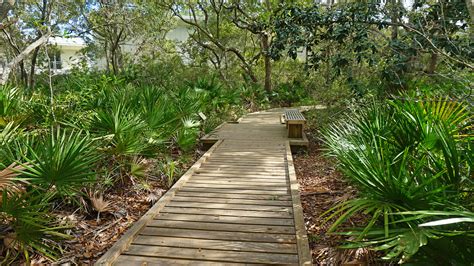 Nature Trails in Florida | Florida Hikes