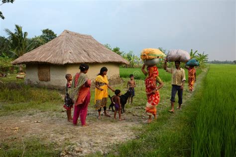 Landwirtschaftliche Lebensdauer Von Indien Redaktionelles Foto - Bild ...