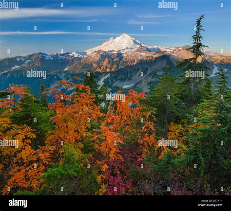 Mount Baker-Snoqualmie National Forest, WA: Mount Baker from Artists Ridge Trail in autumn Stock ...